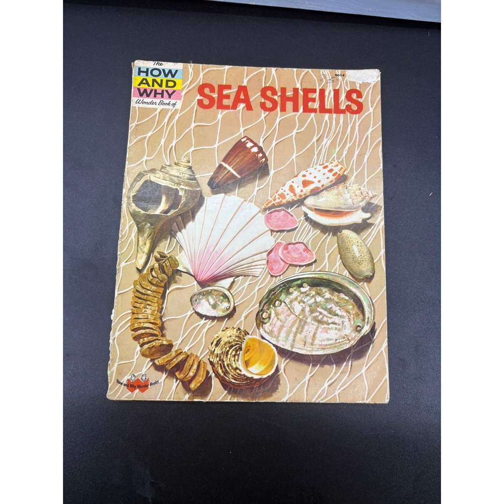 Vintage 1961 The How and Why Wonder Book of Sea Shells Softcover 5014 Science